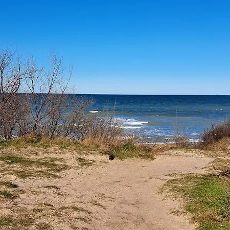 Distelfink Mit Sauna Und Kamin *