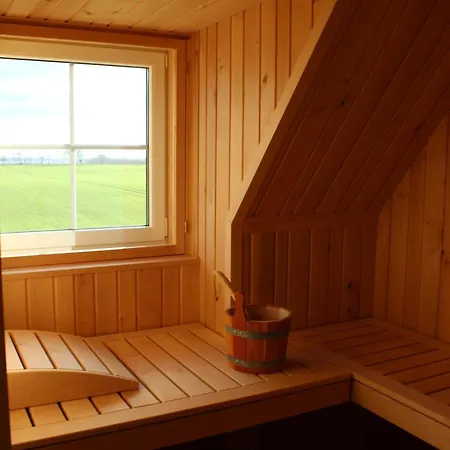 Distelfink Mit Sauna Und Kamin Dranske