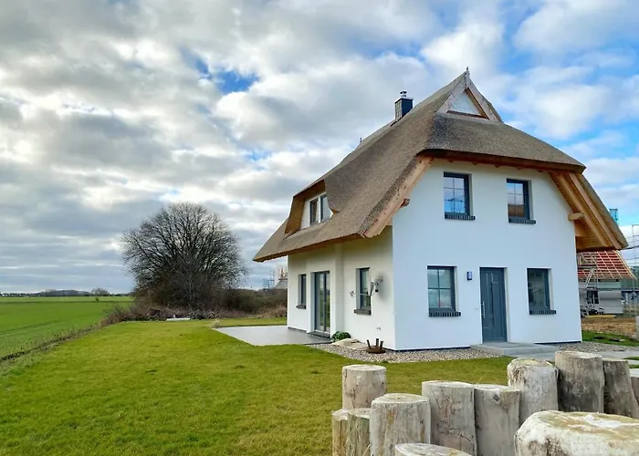 Distelfink Mit Sauna Und Kamin Dranske