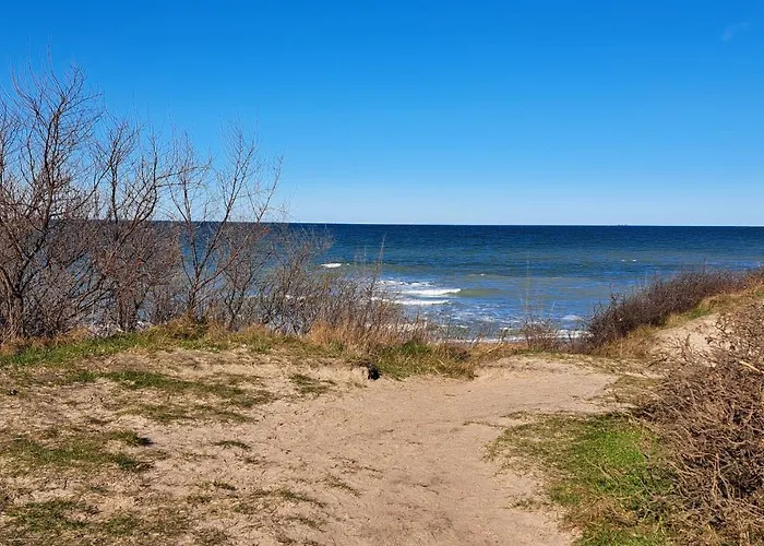 Distelfink Mit Sauna Und Kamin *